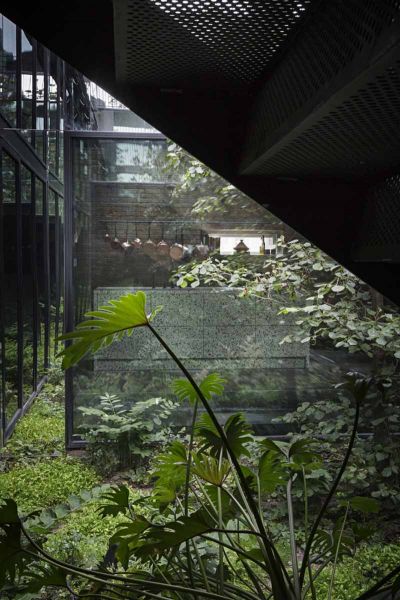 Arquitectura_Casa para Peter Krasilnikoff_ patio vegetacion