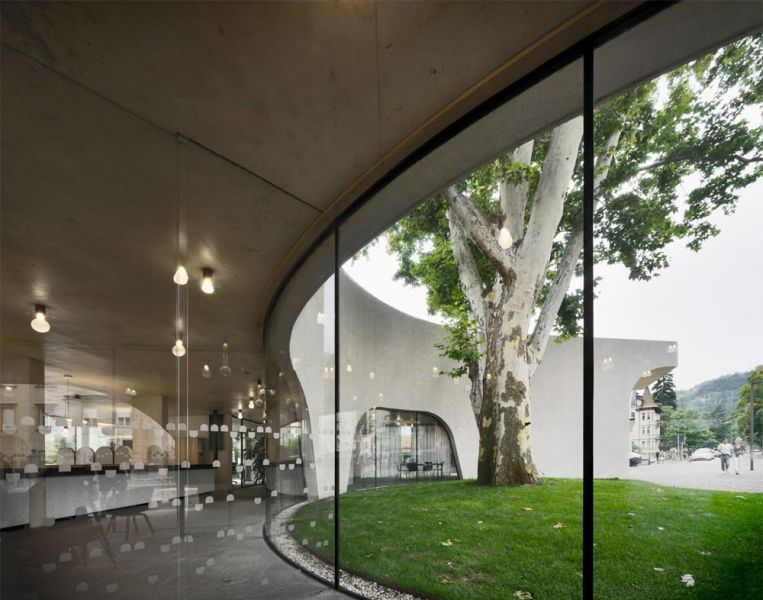Imagen del interior del edificio y patio alrededor del árbol centenario