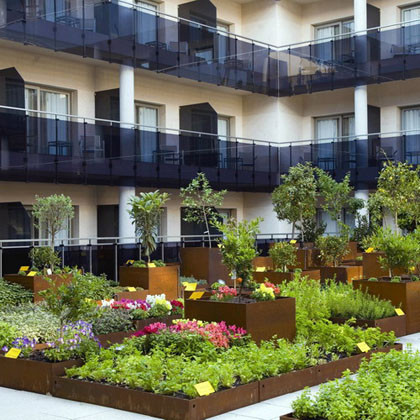 ciudad_huertos_urbanos_jardin_comestible1